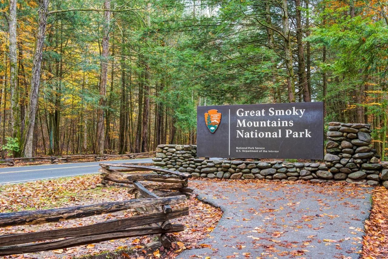 Above Ole Smoky’s Clouds, 1 Bedroom, Hot Tub, WiFI, Pets, Sleeps 4 Gatlinburg Buitenkant foto