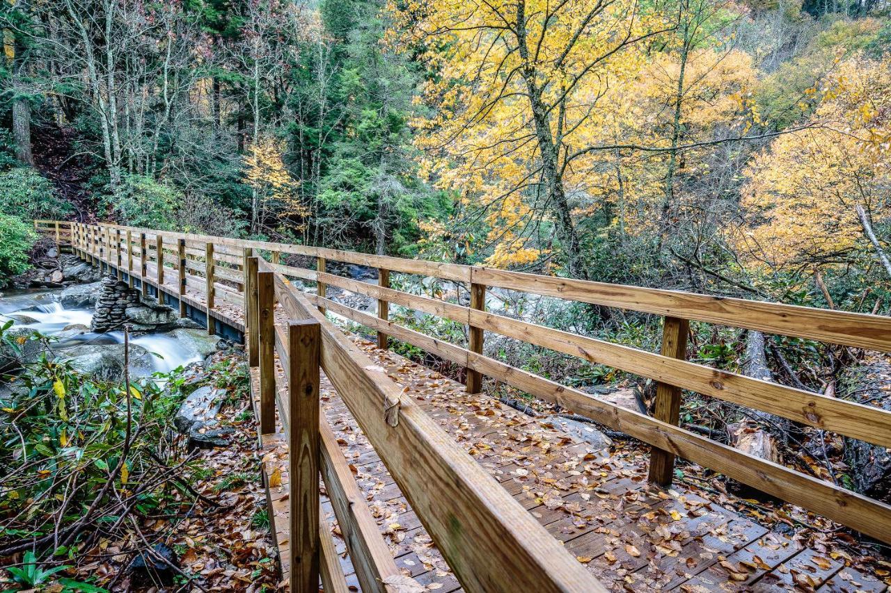 Above Ole Smoky’s Clouds, 1 Bedroom, Hot Tub, WiFI, Pets, Sleeps 4 Gatlinburg Buitenkant foto