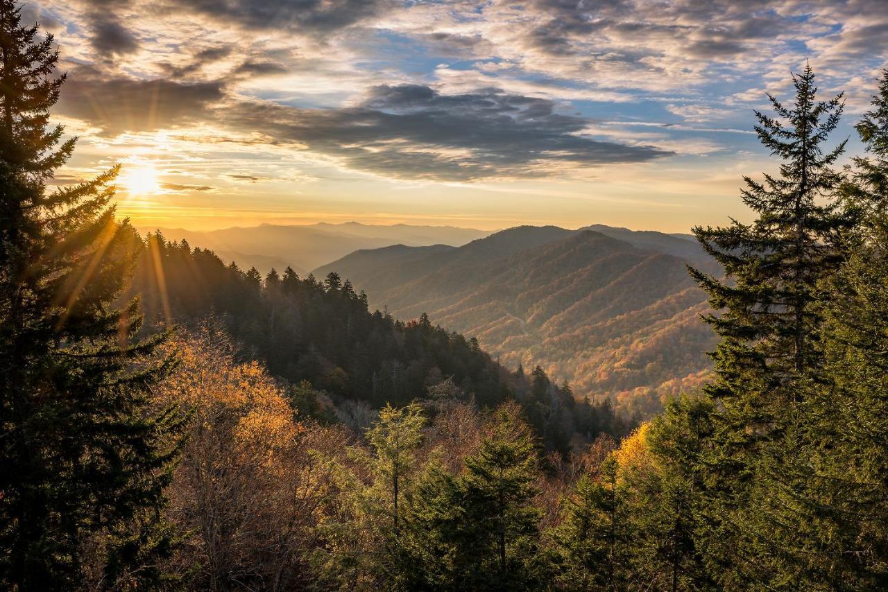 Above Ole Smoky’s Clouds, 1 Bedroom, Hot Tub, WiFI, Pets, Sleeps 4 Gatlinburg Buitenkant foto