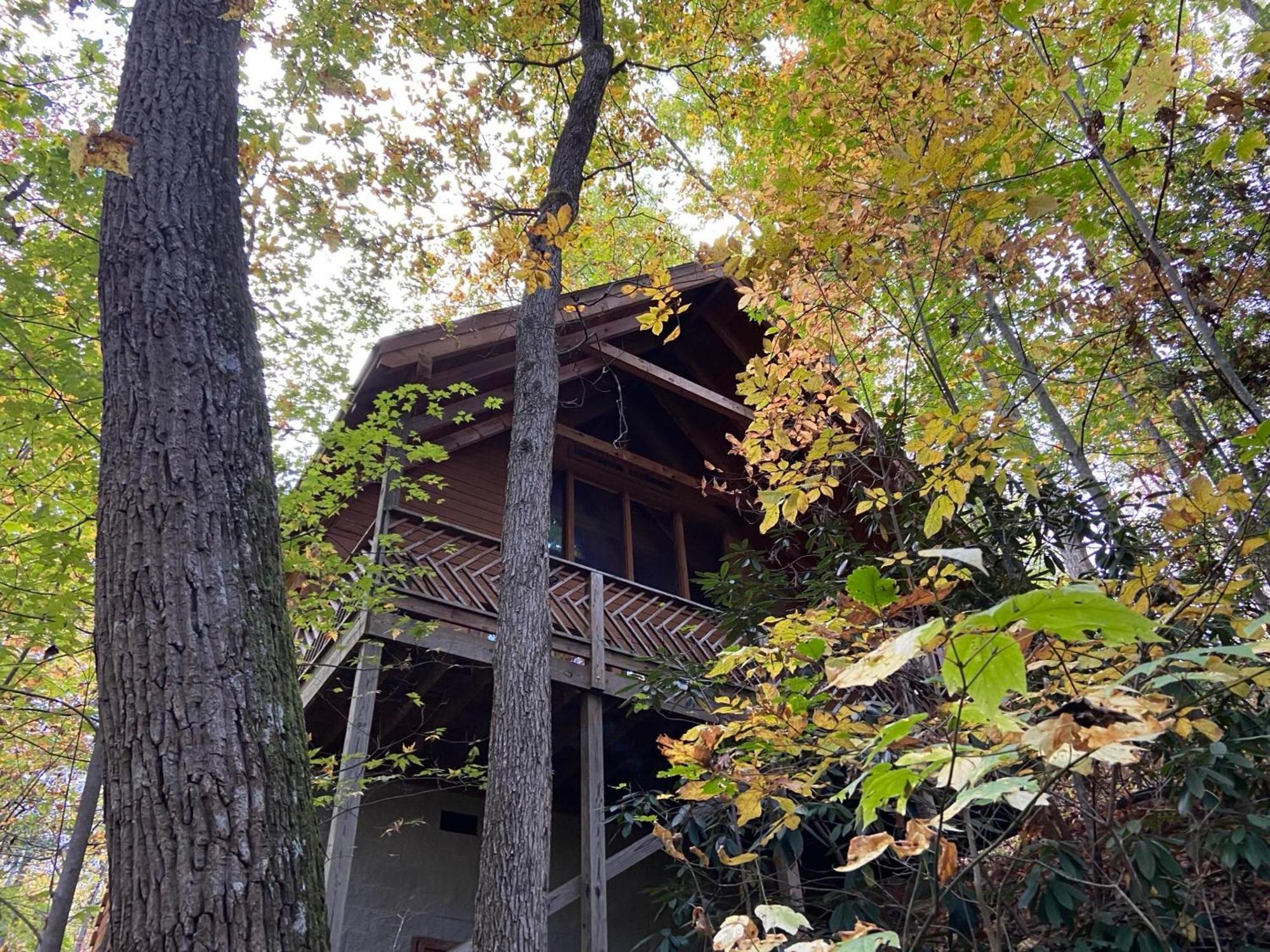 Above Ole Smoky’s Clouds, 1 Bedroom, Hot Tub, WiFI, Pets, Sleeps 4 Gatlinburg Buitenkant foto